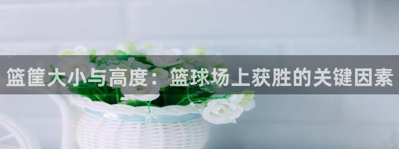 极悦平台app安全吗：篮筐大小与高度：篮球场上获胜的