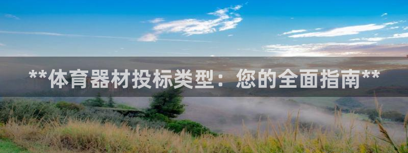 极悦平台用户评价与反馈：**体育器材投标类型：您的全