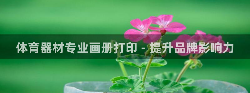 极悦官方网站入口网址是什么：体育器材专业画册打印 -