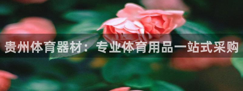 极悦娱乐官网客服联系方式查询：贵州体育器材：专业体育
