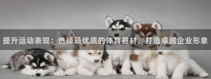 极悦娱乐官网客服联系方式查询：提升运动表现：选择最优