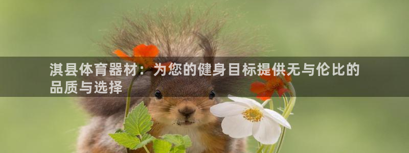极悦娱乐app官方版本更新内容是什么：淇县体育器材：