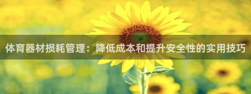 极悦娱乐德711.112扣费说明：体育器材损耗管理：