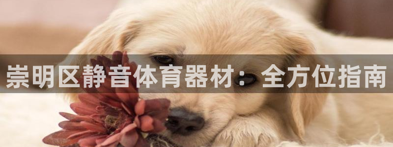 极悦平台注册用户名格式错误：崇明区静音体育器材：全方