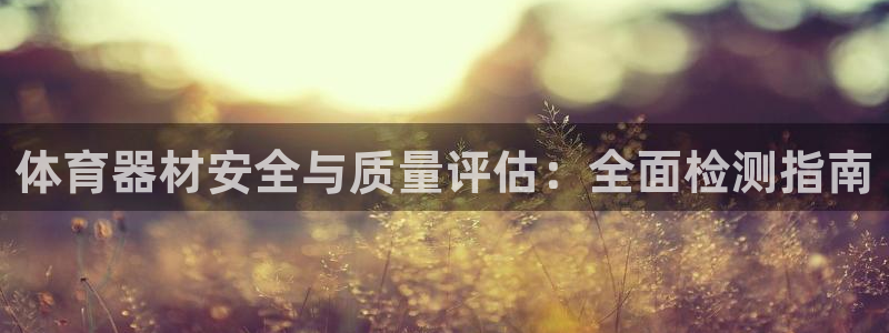 极悦平台代理怎么做的：体育器材安全与质量评估：全面检