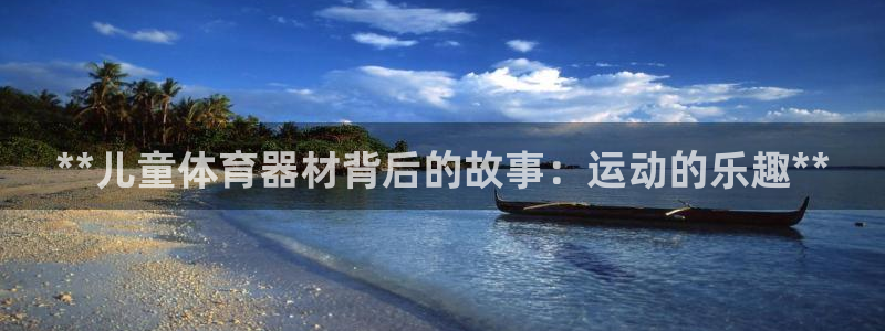 苏州极悦信息科技有限公司：**儿童体育器材背后的故事