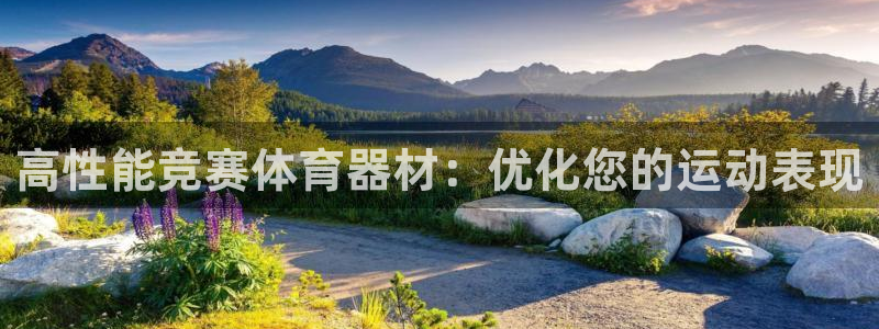 极悦平台使用注意事项有哪些：高性能竞赛体育器材：优化