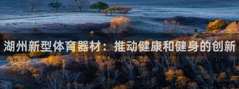 极悦平台用户评价与反馈怎么设置：湖州新型体育器材：推