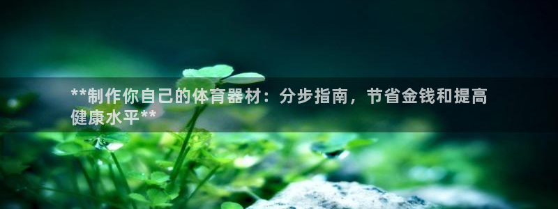 极悦娱乐现在叫什么：**制作你自己的体育器材：分步指