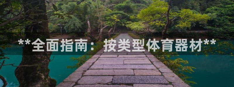 极悦平台注册流程详解图片：**全面指南：按类型体育器