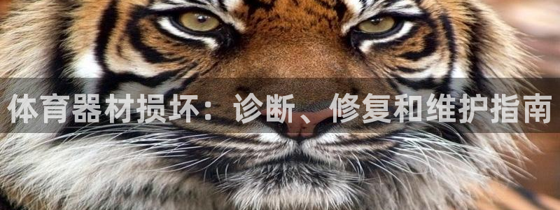 极悦娱乐官网最新版本更新内容下载：体育器材损坏：诊断