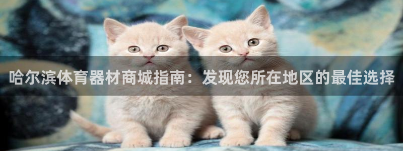 极悦平台用户评价与反馈在哪里：哈尔滨体育器材商城指南