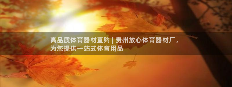 极悦娱乐会被骗吗：高品质体育器材直购 | 贵州放心体
