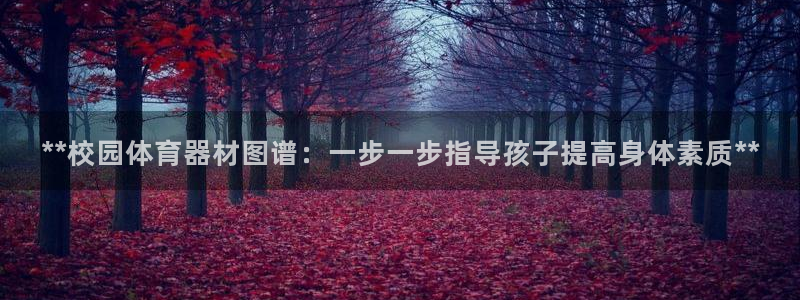 极悦官方网站app下载安卓：**校园体育器材图谱：一
