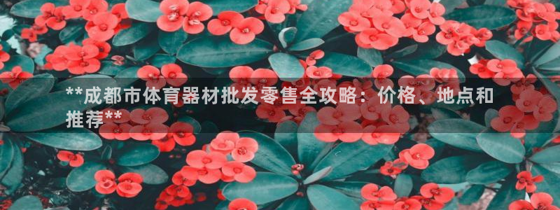 极悦平台平台注册方法与步骤：**成都市体育器材批发零
