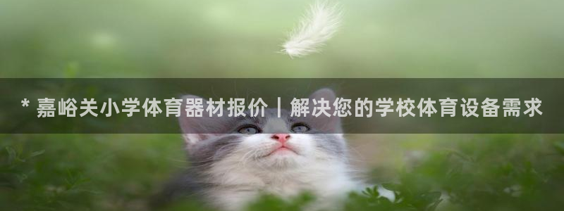 极悦平台：* 嘉峪关小学体育器材报价｜解决您的学校体