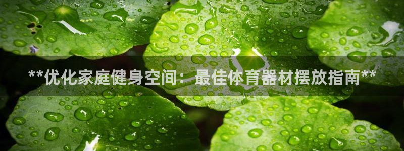 极悦娱乐管理最建议买吗：**优化家庭健身空间：最佳体