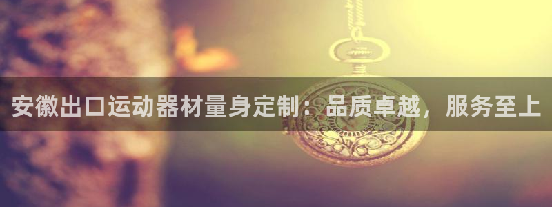 苏州极悦信息科技有限公司：安徽出口运动器材量身定制：