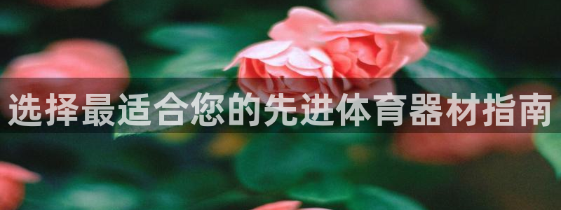 极悦平台代理怎么赚钱：选择最适合您的先进体育器材指南