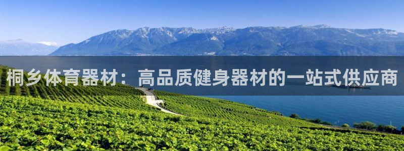 极悦娱乐游戏安全吗：桐乡体育器材：高品质健身器材的一