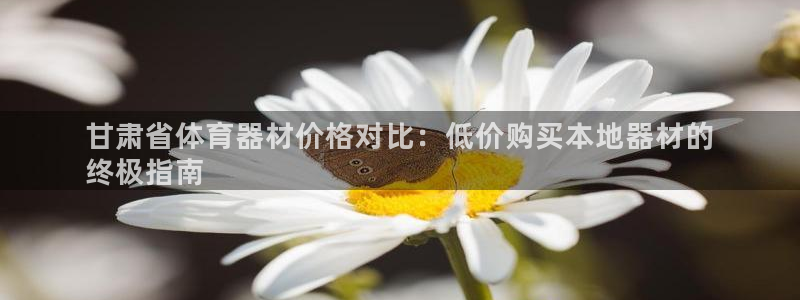 极悦平台用户评价：甘肃省体育器材价格对比：低价购买本
