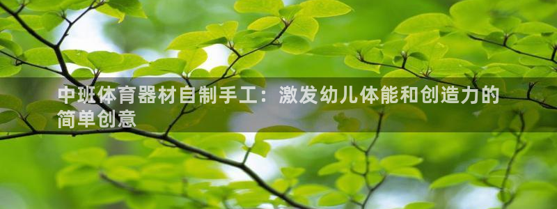 极悦平台官方网站入口：中班体育器材自制手工：激发幼儿