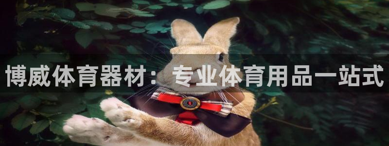极悦娱乐的创始人背景故事是什么：博威体育器材：专业体