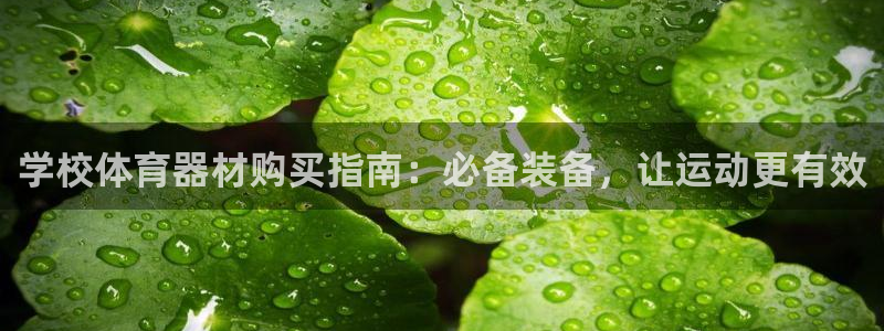 极悦娱乐app官方版本更新内容是什么：学校体育器材购