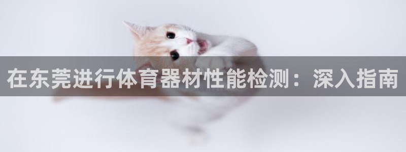 极悦娱乐的背景和历史背景是什么：在东莞进行体育器材性