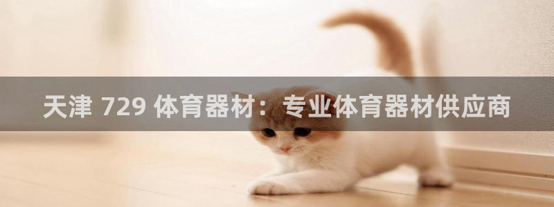 苏州极悦信息科技有限公司：天津 729 体育器材：专