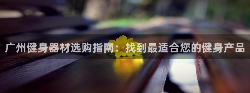 极悦平台注册用户名生成器：广州健身器材选购指南：找到