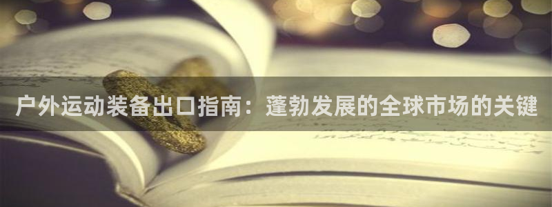 极悦官网：户外运动装备出口指南：蓬勃发展的全球市场的
