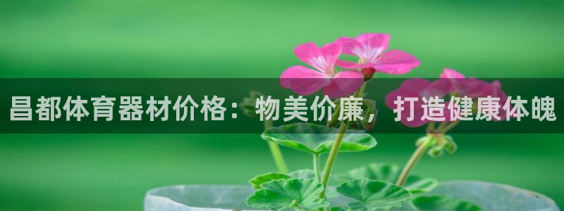 极悦平台注册失败如何解决：昌都体育器材价格：物美价廉