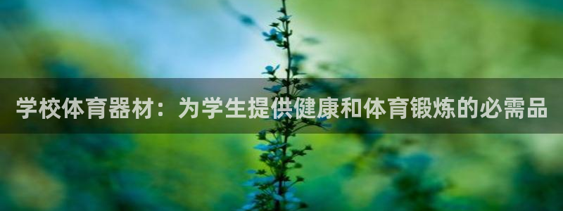 极悦牙膏怎么样好不好：学校体育器材：为学生提供健康和