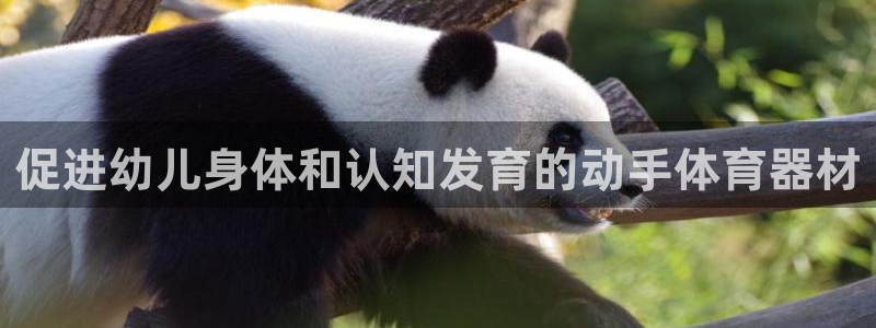 极悦平台平台注册方法与步骤图：促进幼儿身体和认知发育