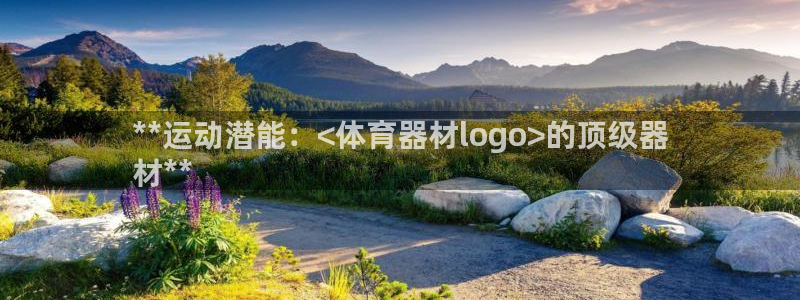 极悦娱乐官方网站首页：**运动潜能：<体育器材log