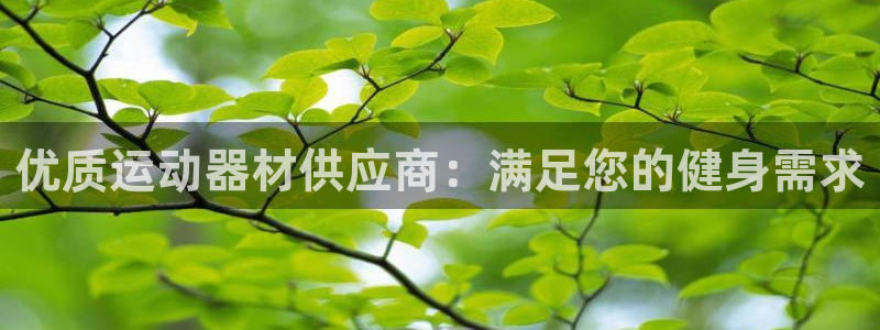 极悦官网的登录方法：优质运动器材供应商：满足您的健身