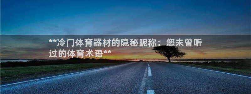 极悦平台非7O777：**冷门体育器材的隐秘昵称：您