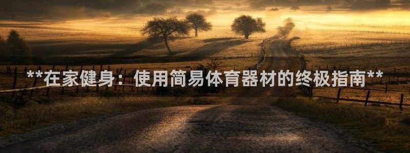 极悦平台与网易合作详情：**在家健身：使用简易体育器