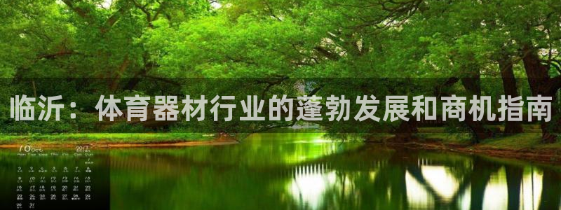 极悦平台有风险吗知乎：临沂：体育器材行业的蓬勃发展和