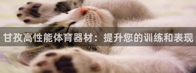 极悦娱乐挂机赚钱是真的吗吗：甘孜高性能体育器材：提升