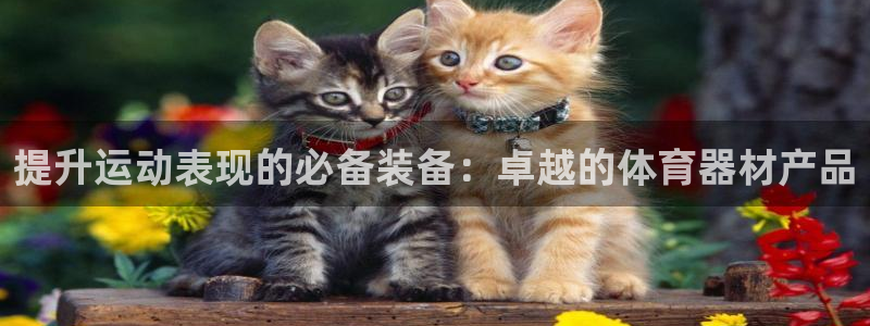 极悦平台看7O777：提升运动表现的必备装备：卓越的
