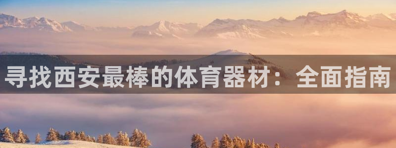 极悦平台用户评价与反馈在哪里：寻找西安最棒的体育器材