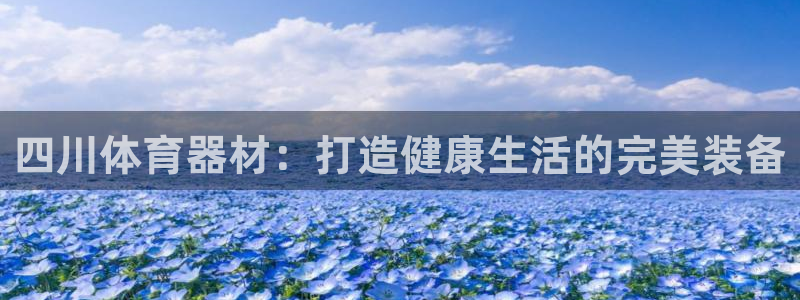 极悦平台注册流程：四川体育器材：打造健康生活的完美装