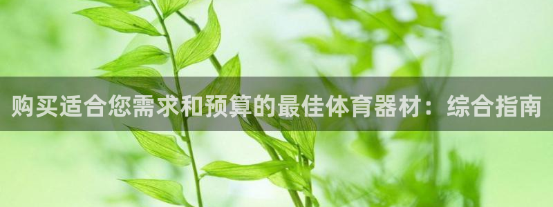 极悦娱乐股东有哪些：购买适合您需求和预算的最佳体育器