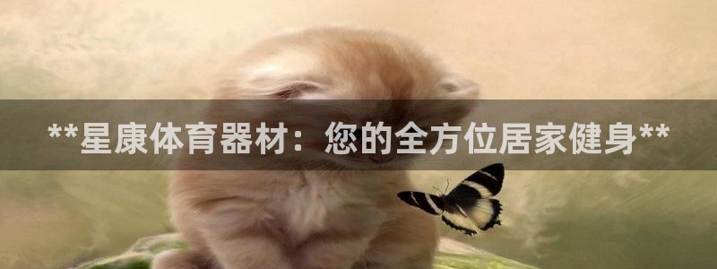 极悦官方网站入口网址大全：**星康体育器材：您的全方