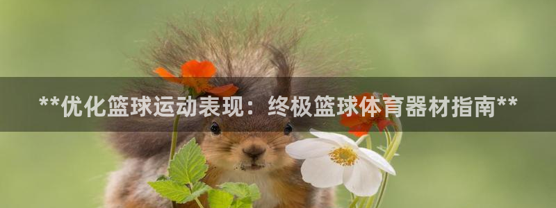 极悦官网首页登录入口：**优化篮球运动表现：终极篮球