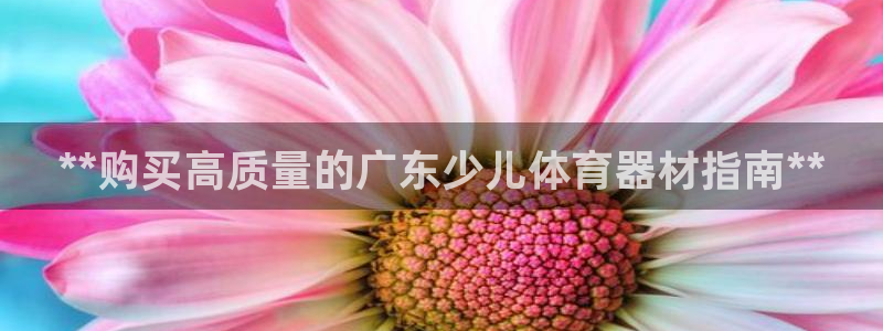 极悦平台用户反馈和反馈：**购买高质量的广东少儿体育