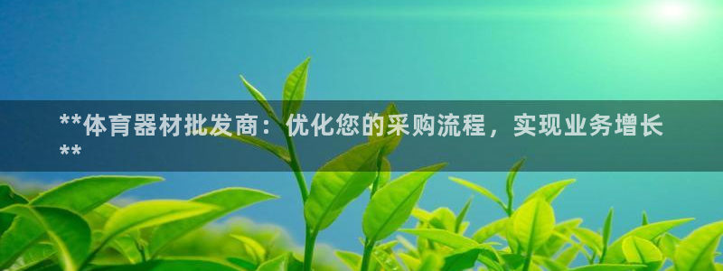 极悦平台使用教程：**体育器材批发商：优化您的采购流