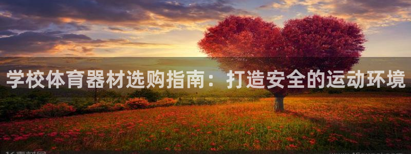 极悦平台注册流程详解：学校体育器材选购指南：打造安全